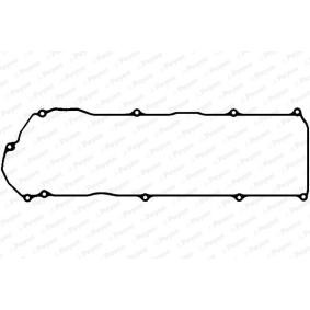 Acquista Guarnizione coperchio punterie da PAYEN online per Bluebird Sylphy I Sedan (G10, N16) a prezzi moderati