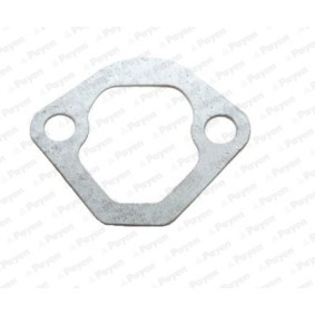 Compre Bomba de combustible de PAYEN online para Fiorino II MPV (146) a precios moderados