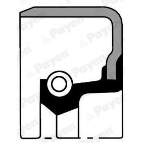 Compre Retentor, cubo da roda da PAYEN NJ036 a um preço baixo por 6,94 €