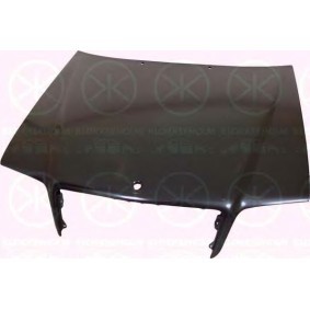 Motorhaube 3512280A1 von KLOKKERHOLM günstig für 129,67 € online kaufen