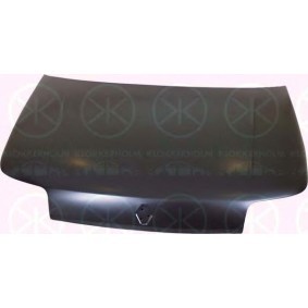 Motorhaube 6031280 von KLOKKERHOLM günstig für 69,36 € online kaufen