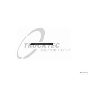 Zierleiste für die Tür 02.52.117 von TRUCKTEC AUTOMOTIVE günstig für 25,40 € online kaufen