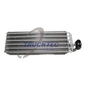 Kühlergrill 02.60.210 von TRUCKTEC AUTOMOTIVE günstig für 215,65 € online kaufen