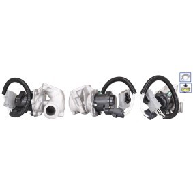 AGR-Ventil 72-0053 von ELSTOCK günstig für 242,52 € online kaufen