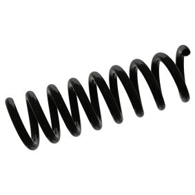 Fahrwerksfeder 46843 von FEBI BILSTEIN günstig für 34,42 € online kaufen