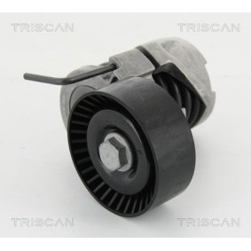 Spannrolle, Keilrippenriemen 8641 113040 von TRISCAN günstig für 72,63 € online kaufen