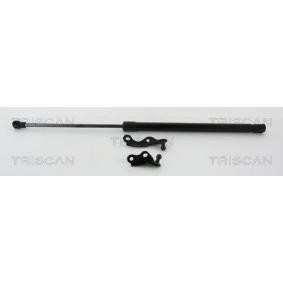 Heckklappendämpfer 8710 13287 von TRISCAN günstig für 37,11 € online kaufen