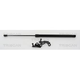 Heckklappendämpfer 8710 13288 von TRISCAN günstig für 28,59 € online kaufen