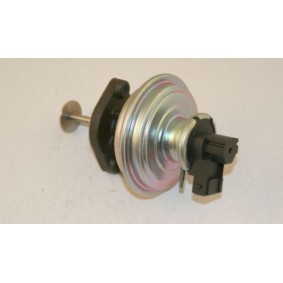 AGR-Ventil 959142 von AUTEX günstig für 136,62 € online kaufen