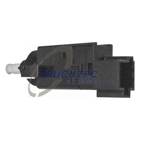 Zier- / Schutzleiste, Seitenwand 02.52.102 von TRUCKTEC AUTOMOTIVE günstig für 21,53 € online kaufen