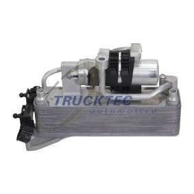 Zier- / Schutzleistensatz 08.62.864 von TRUCKTEC AUTOMOTIVE günstig für 24,65 € online kaufen