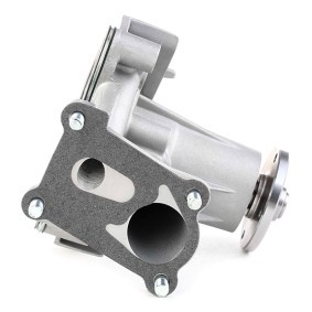 Achetez des Pompe à eau de chez RIDEX en ligne pour H100 Camionnette à prix modérés