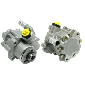 Compre Bomba de direção da BUGIAD BSP22639 a um preço baixo por 154,37 €