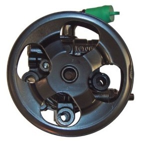 Achetez des Pompe de direction assistée LIZARTE 04.23.0120 à prix pour 248,77 €