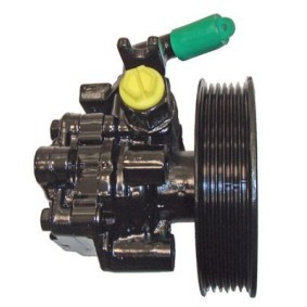 Servopumpe 04.75.0750 von LIZARTE günstig für 283,51 € online kaufen