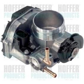 Compre Corpo de borboleta da HOFFER 7519023 a um preço baixo por 163,65 €