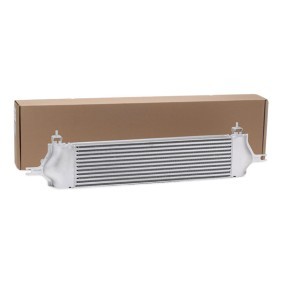 Achetez des Intercooler de chez RIDEX en ligne pour Qashqai / Qashqai +2 I (J10, NJ10) à prix modérés