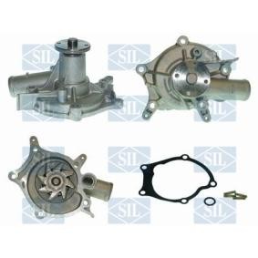 Achetez des Pompe à eau de chez Saleri SIL en ligne pour H100 Camion plate-forme/Châssis à prix modérés