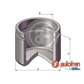 Acquista Pistoncino pinza freno da AUTOFREN SEINSA D025495 a buon mercato per soli 16,95 €