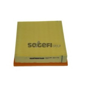 Acquista Filtro aria da COOPERSFIAAM FILTERS PA7238 a buon mercato per soli 21,96 €