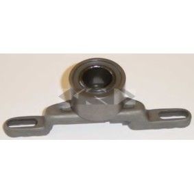 Spannrolle, Zahnriemen für FORD von SPIDAN