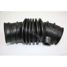 Schlauch, Luftversorgung 3008360739 von AUTOMEGA günstig für 16,92 € online kaufen