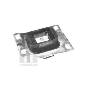 Motorlager von TEDGUM