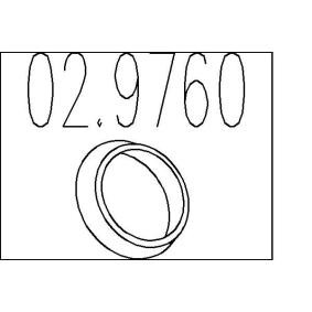 Dichtring, Abgasrohr 02.9760 von MTS günstig für 3,65 € online kaufen