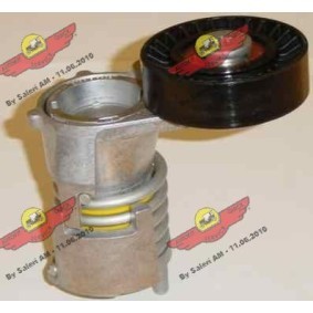 Riemenspanner, Keilrippenriemen 03.80792 von AUTOKIT günstig für 149,14 € online kaufen