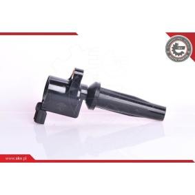 Acquista Bobina d'accensione da ESEN SKV 03SKV122 a buon mercato per soli 30,87 €