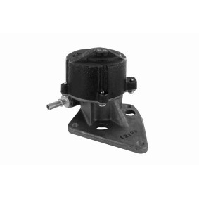 Compre Polia de desvio / de guia, correia dentada da VAICO V32-0058 a um preço baixo por 88,59 €