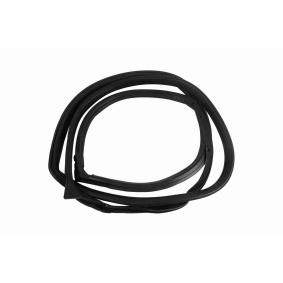 Türdichtung V30-1571 von VAICO günstig für 54,71 € online kaufen