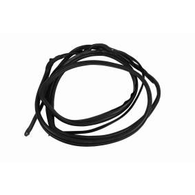 Türdichtung V30-1630 von VAICO günstig für 68,65 € online kaufen