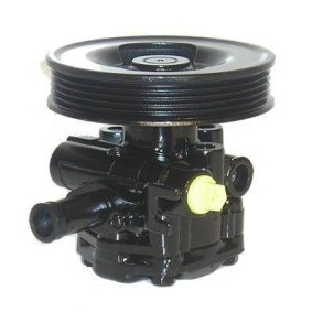 Compre Bomba de direção da SERCORE 07B489 a um preço baixo por 154,34 €