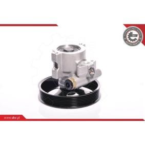 Compre Bomba de direção da ESEN SKV 10SKV143 a um preço baixo por 90,98 €