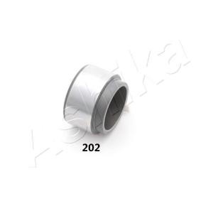 Compre Êmbolo, pinça do travão da ASHIKA 133-02-202 a um preço baixo por 27,67 €