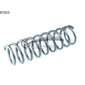 Compre Molas de CS Germany online para ACCORD V (CC, CD) a preços moderados