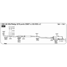 Katalysator 15438 von SIGAM günstig für 217,41 € online kaufen
