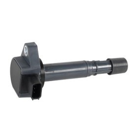 Zündspule 155192 von EFI AUTOMOTIVE günstig für 193,26 € online kaufen
