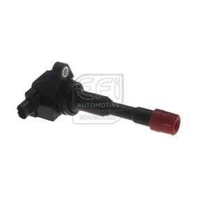 Zündspule 155224 von EFI AUTOMOTIVE günstig für 194,17 € online kaufen