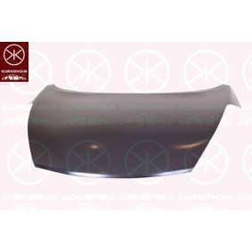 Nebelscheinwerfer 16080284 von KLOKKERHOLM günstig für 92,82 € online kaufen