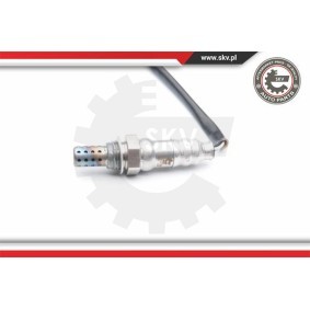 Parksensor 17SKV359 von ESEN SKV günstig für 30,60 € online kaufen