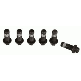 Comprar Juego tornillos, volante de SACHS 1874 000 067 a bajo precio de 22,76 €
