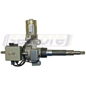 Compre Columna de dirección + bomba de dirección eléctrica de SERCORE online para Corsa C Hatchback (X01) a precios moderados