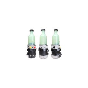 Servopumpe 19-0117 von ELSTOCK günstig für 299,26 € online kaufen