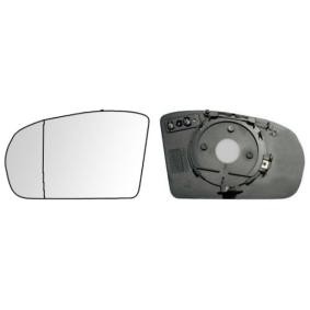 Spiegelglas, Außenspiegel 31502142 von IPARLUX günstig für 29,79 € online kaufen