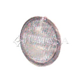 Nebelscheinwerfer 38711655 von JUMASA günstig für 90,91 € online kaufen