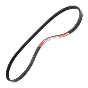 Keilrippenriemen 3PK760-PCS-MS von MASTER-SPORT günstig für 4,98 € online kaufen