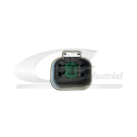 Compre Apoio do motor de 3RG online para 504 Break (D_, F_) a preços moderados