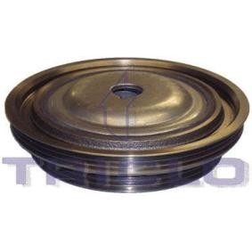 Achetez des Poulie damper (vilebrequin) TRICLO 425021 à prix pour 72,74 €